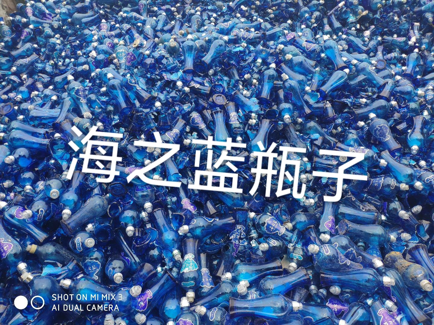 鼓楼区海之蓝瓶回收